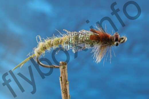 Fish4Flies Lace Nymph